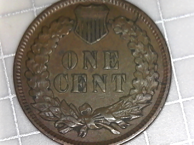 Never-Thought-I-Would-Fine-One-And-Especially-Not-2!-1901-IHC