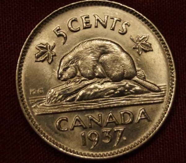 5-Cents-1937-Grading-Question