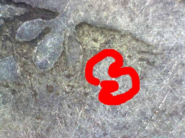 1916-Mercury-Dime--D-Or-S?