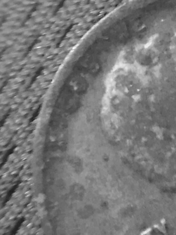 1917-D-Wheat-Cent-Is-This-Environmental-Damage?