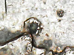 1983-Lincoln-Memorial-Penny-Errors-Or-Something-Else