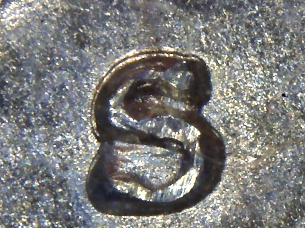 1971-S/S-Eisenhower-RPM?