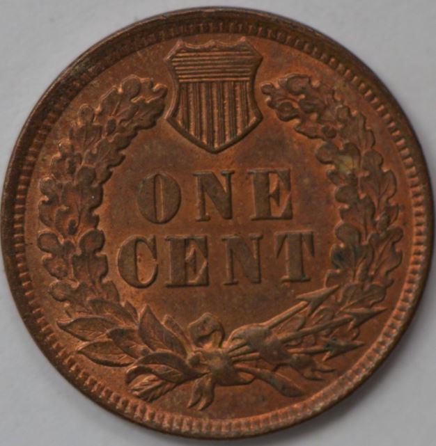 1899-IHC-Snow-33-?