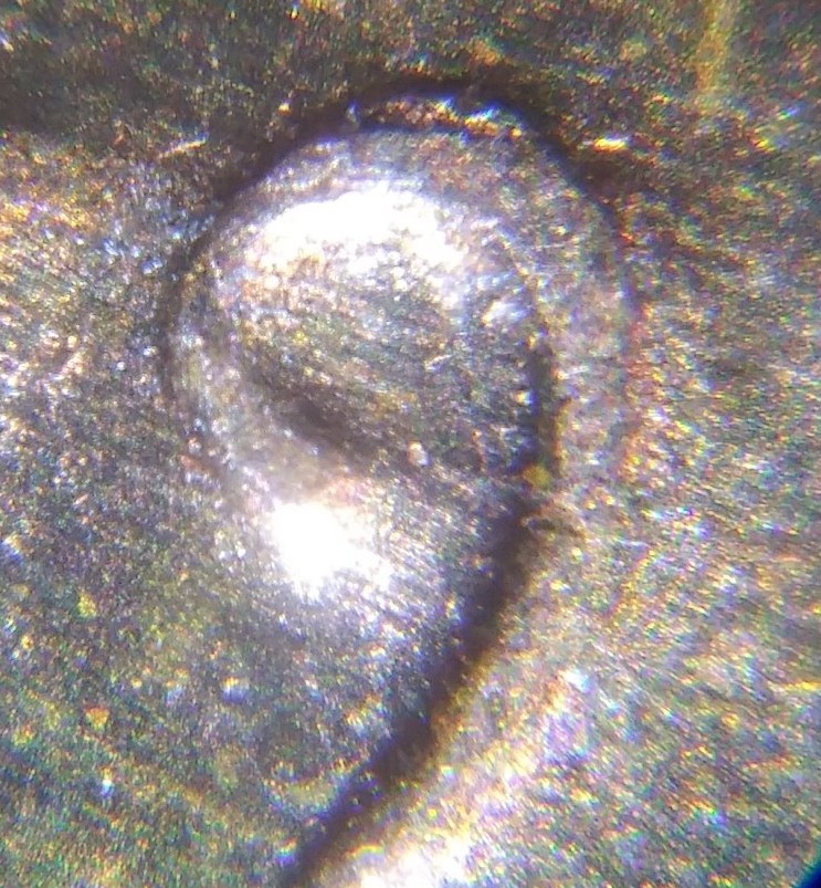 1979-P-LMC-DDO-#1?-Or-No?