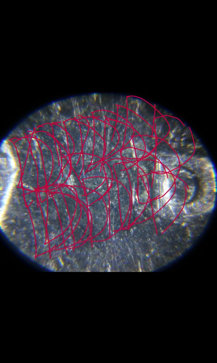 Unique-2000-D-Virginia-State-Quarter