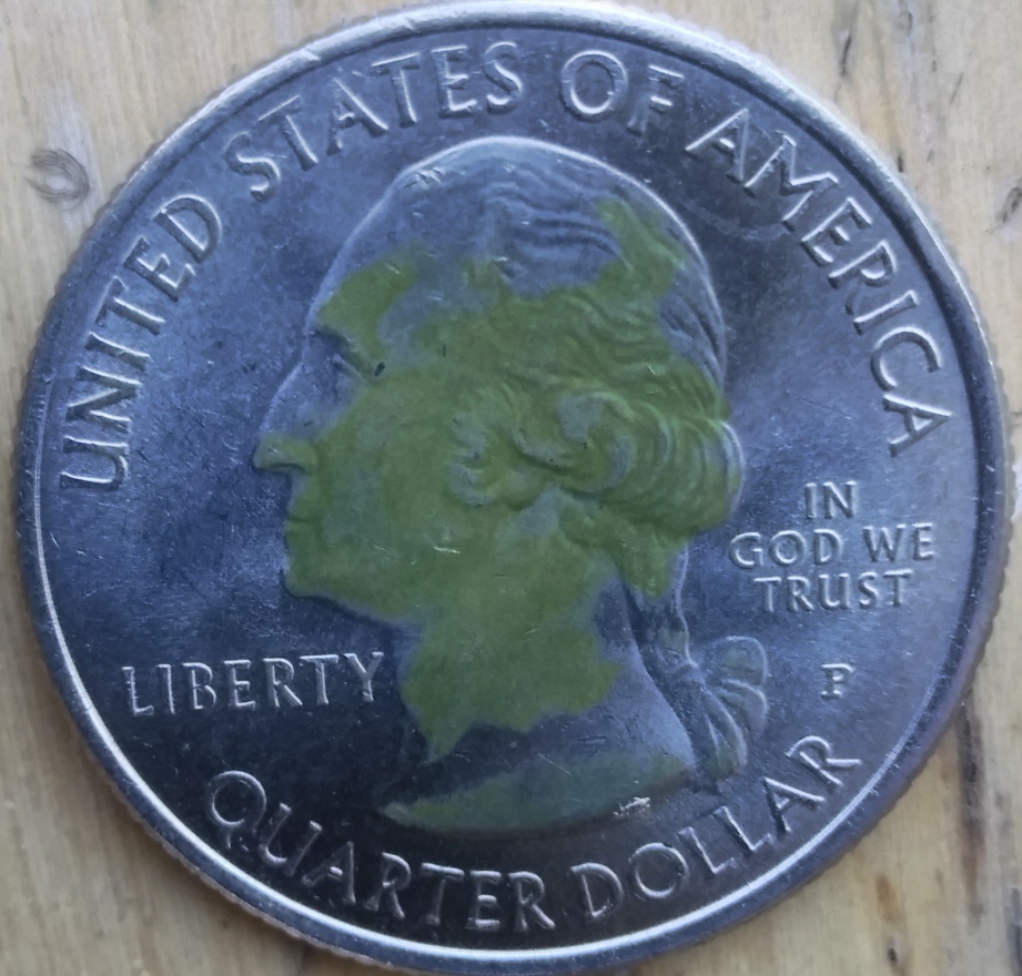Need-Some-Help-On-2017-P-Effigy-Mounds-ATB-Quarter-Issue.