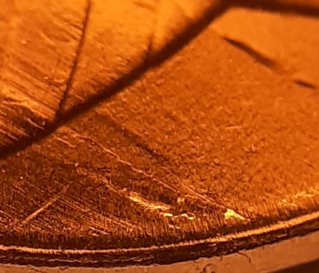 2020-Shield-Cent-Lamination-Error....!?!?!-That's-Exactly-What-I-Was-Thinki