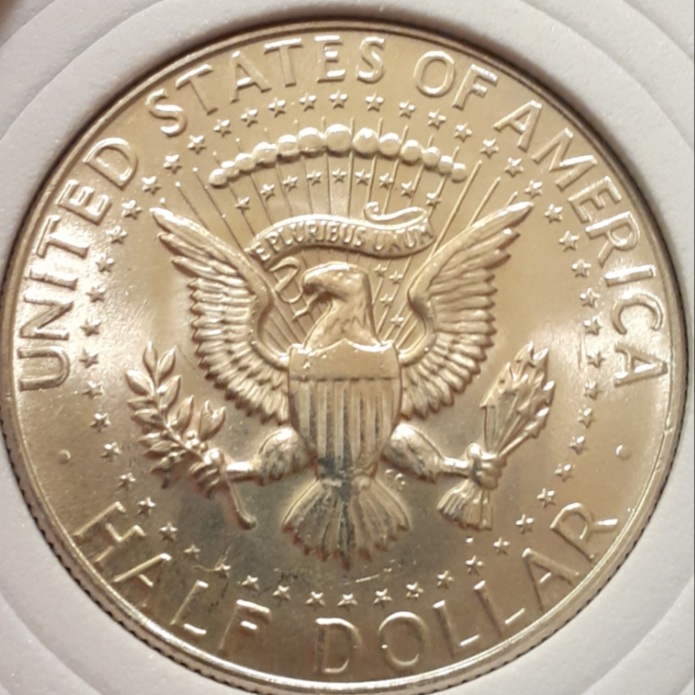 1968-D-Kennedy-Opinions