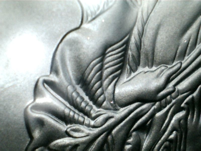 1917-Walking-Liberty-Half-Dollar---Testing-New-USB-Scope