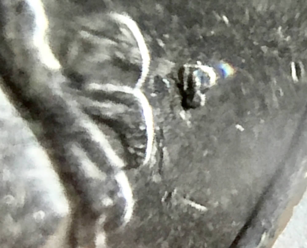 1983-P-Washington-Quarter-With-Very-Obvious-RPM-Or-P/D-OMM