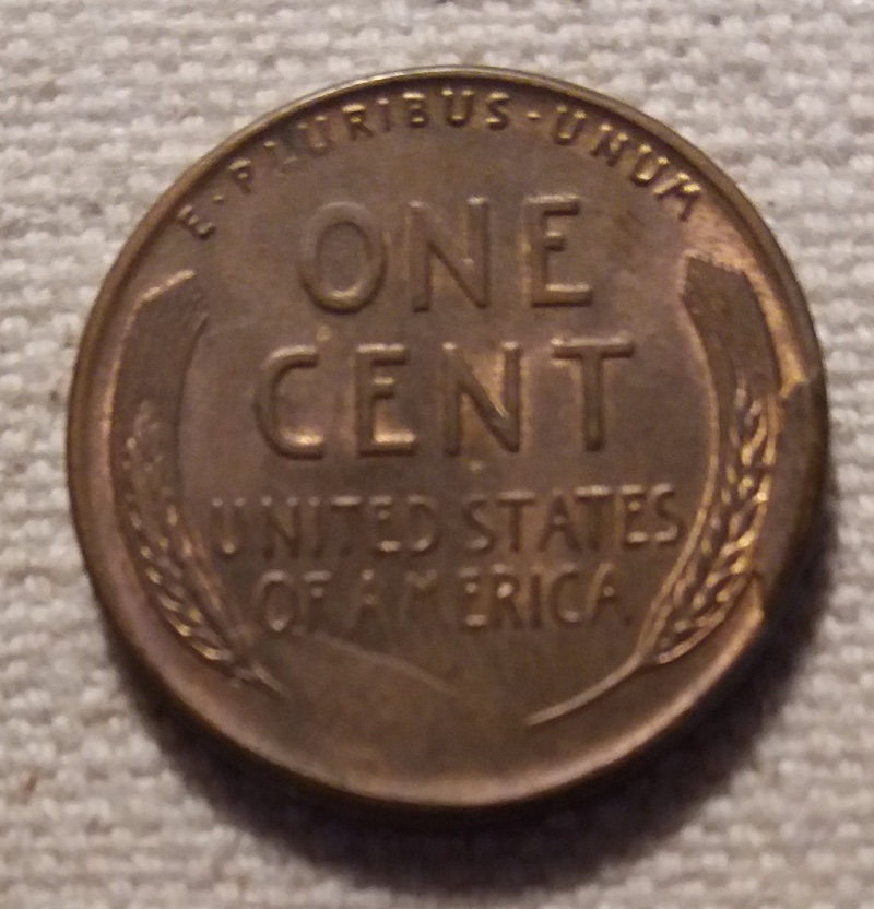 1955-S-Lincoln-Wheat-Cent---Cud,-Interior-Die-Break-And-RIDB---MS
