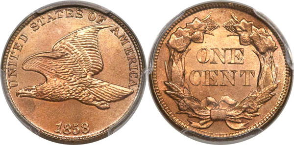 What's-Your-Favorite-Eagle?