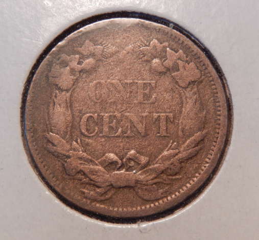 All-Members,-Post-Your-Most-Recent-US-Coin-Purchases!