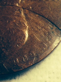 Could-Anyone-Tell-Me-What-Happened-With-This-Wheat?