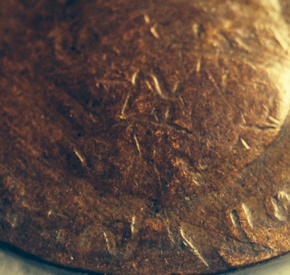 Could-Anyone-Tell-Me-What-Happened-With-This-Wheat?