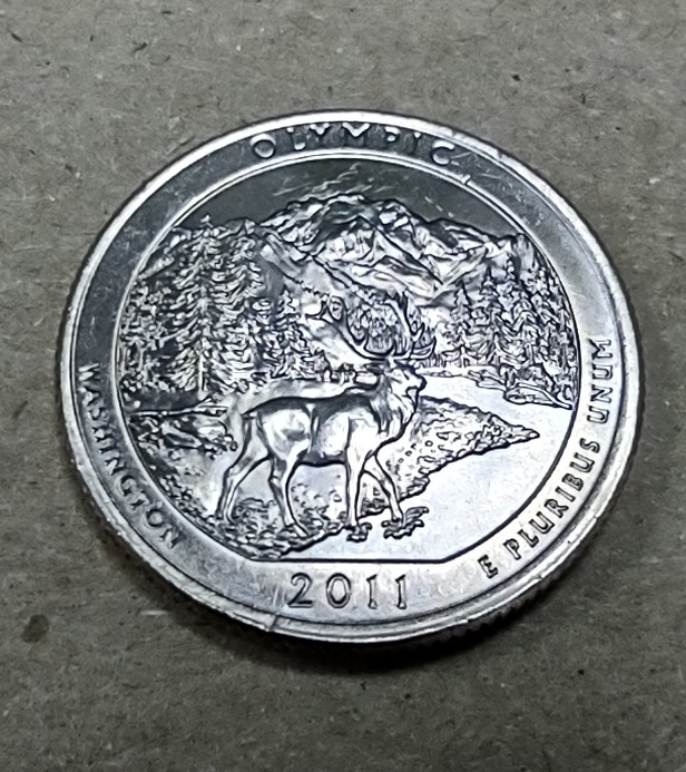 Help-Requested-Possible-Error-2011-P-Olympic