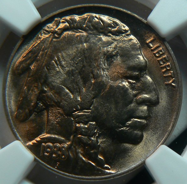 1938-D-Buffalo---You-Vs-NGC---Better-Pictures