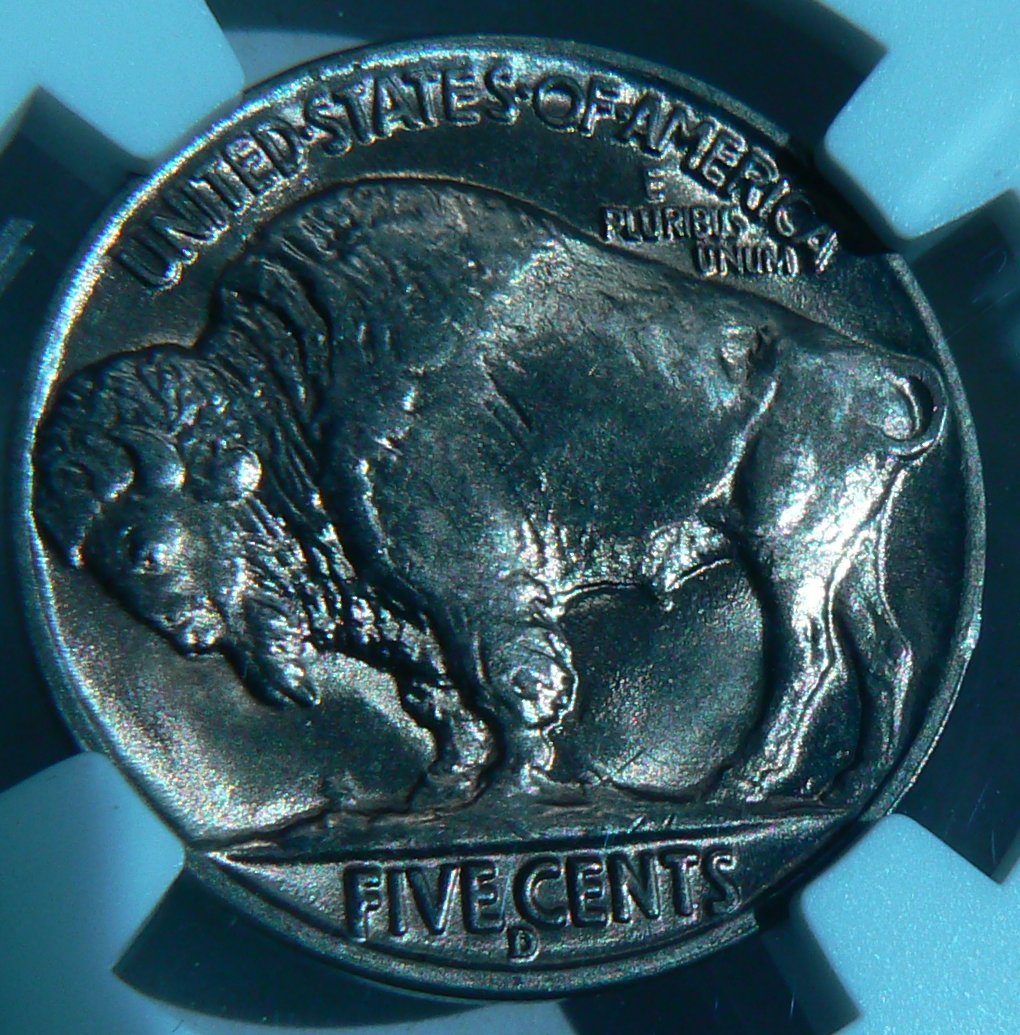 1938-D-Buffalo---You-Vs-NGC---Better-Pictures