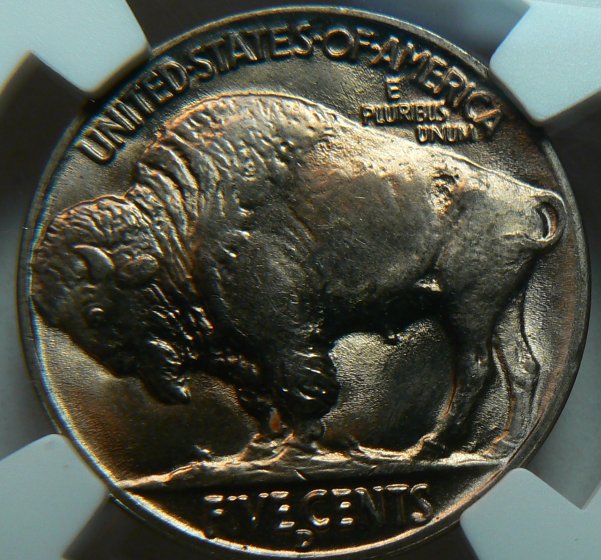 1938-D-Buffalo---You-Vs-NGC---Better-Pictures