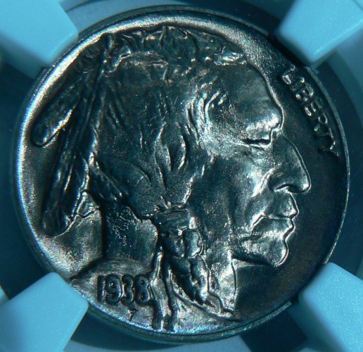 1938-D-Buffalo---You-Vs-NGC---Better-Pictures