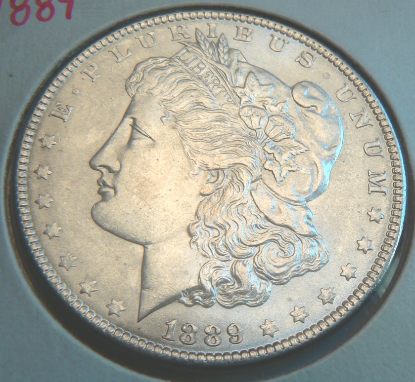 1889-Morgan-Dollar---Grade-Opinions?