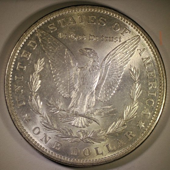1889-Morgan-For-Grading