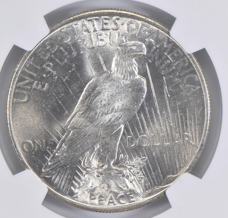 1925-Peace-Dollar---You-Vs-NGC