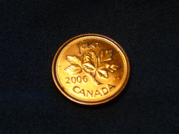 Searching-My-Last-Few-Boxes-Of-Pennies