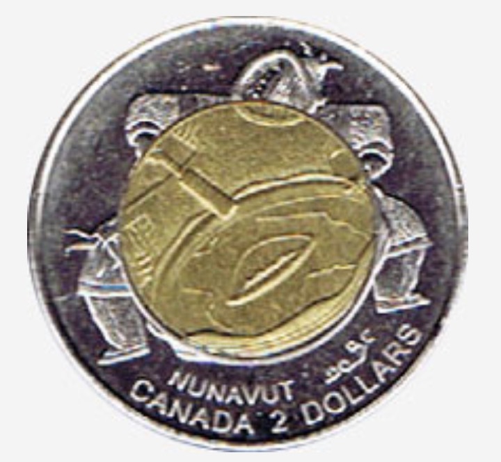 1999-Toonie...die-Rotation?-Counterfeit?
