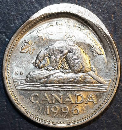 Roll-Hunting-US-Nickels-And-This-?--Wow-!