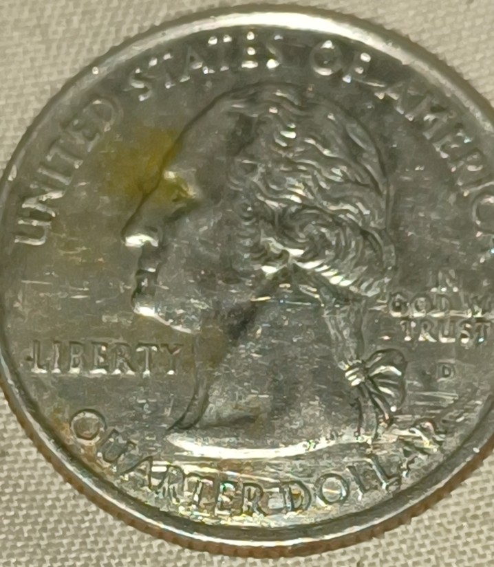 2004-Iowa-D-Quarter-Obverse-Scratches-To-Field-That-Do-Not-Overlap-Design.-New-Member.-First-Post