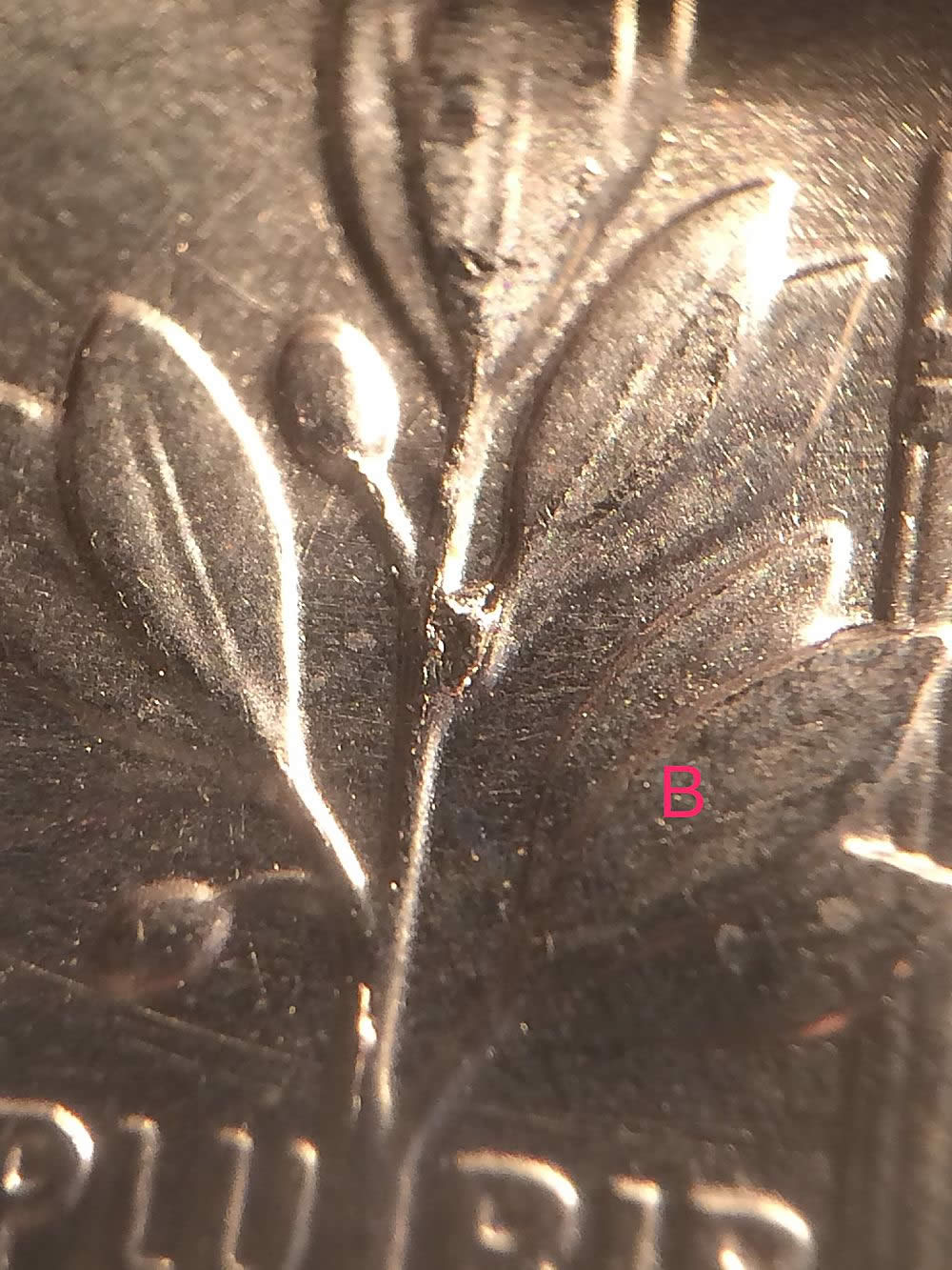 I-Found-Two-Dimes-Exactly-The-Same,-Coincidence?-Got-Them-In-Change.--2017-P