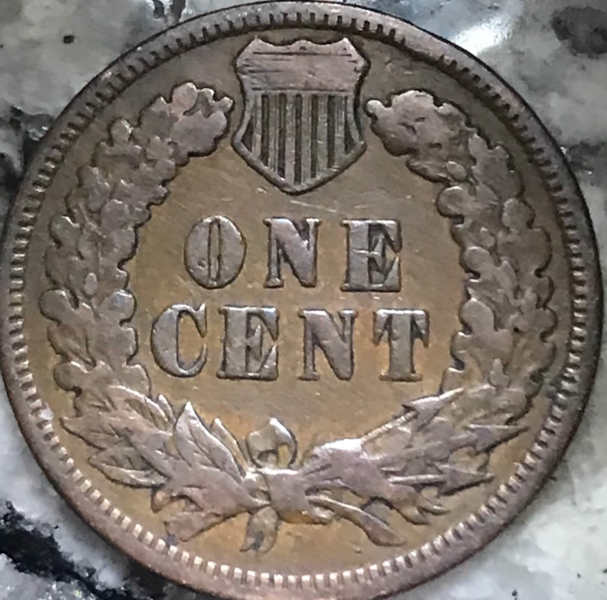 1897-Indian-Head-Die-Chip-In-9?