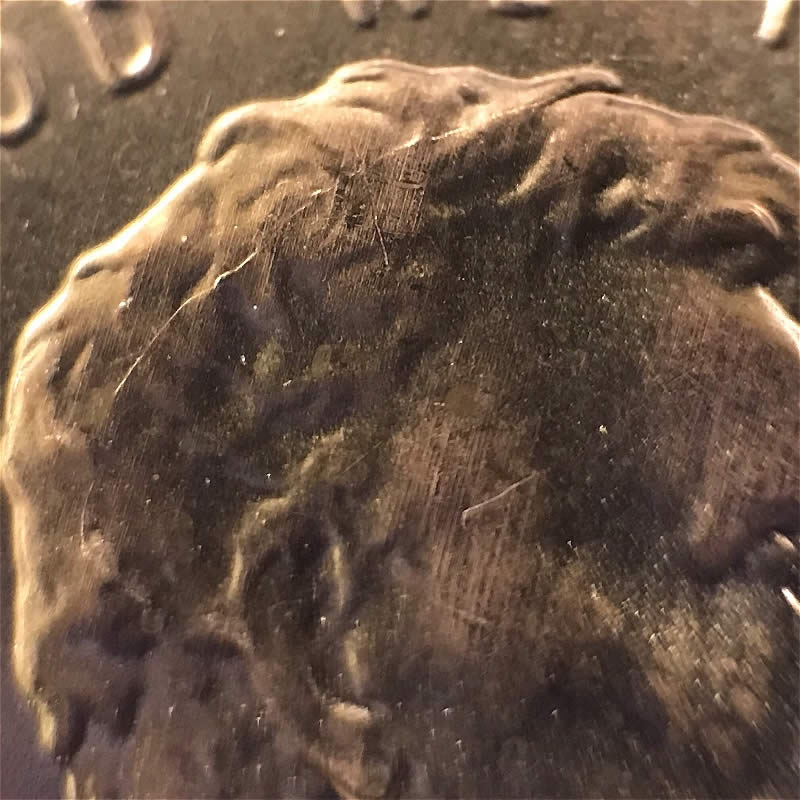 More-Minor-2018-Shield-Finds