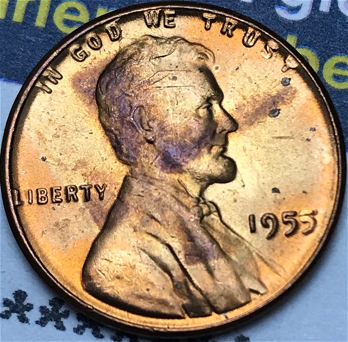 1955-P-LWC-With-Retained-Cud!