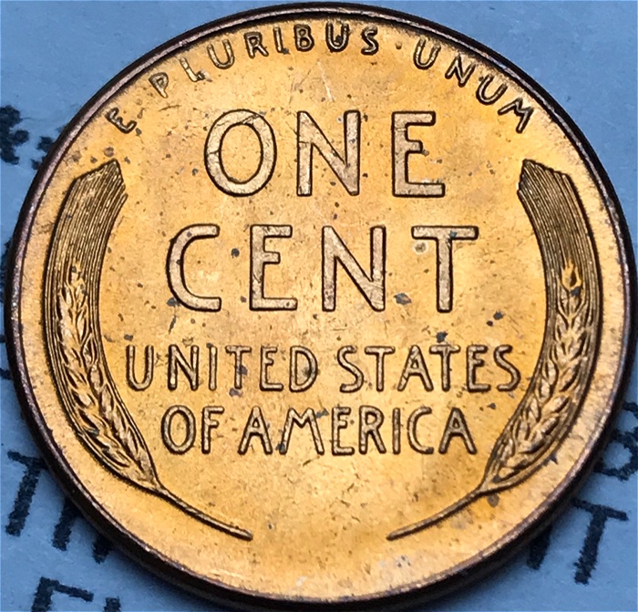 1955-P-LWC-With-Retained-Cud!