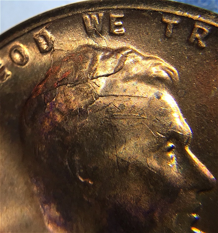 1955-P-LWC-With-Retained-Cud!