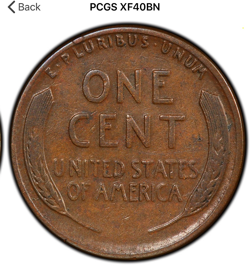 1925-S/S-LWC-FS-501-Nice-Looking-One