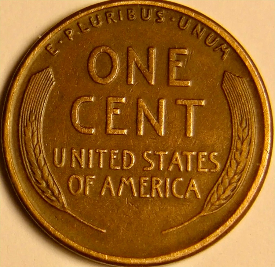 1925-S/S-LWC-FS-501-Nice-Looking-One