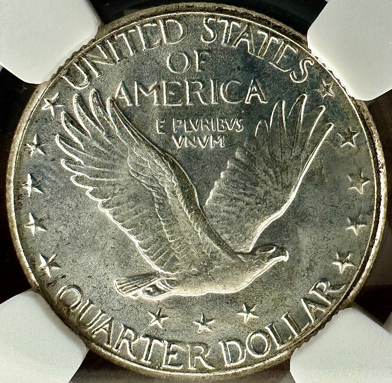 1928-S-Standing-Liberty-Quarter-You-Vs-NGC