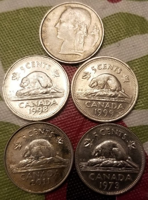 The-Great-Canadian-Nickel-Hunt