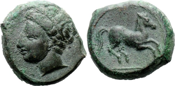 Galloping-Carthaginian-Horse-Coin!--->-Awesome!