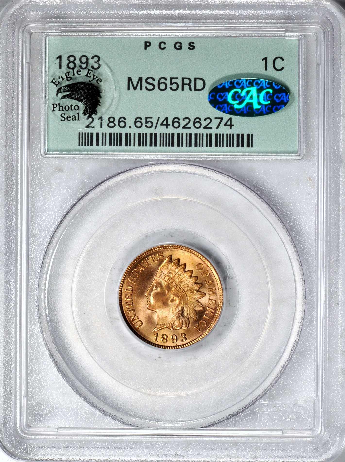 Latest-Newp-+-Status-Of-My-Challenging-Indian-Head-Cent-Set