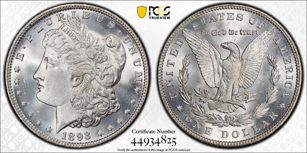 28-Days-Of-The-Morgan-Dollars-Part-5