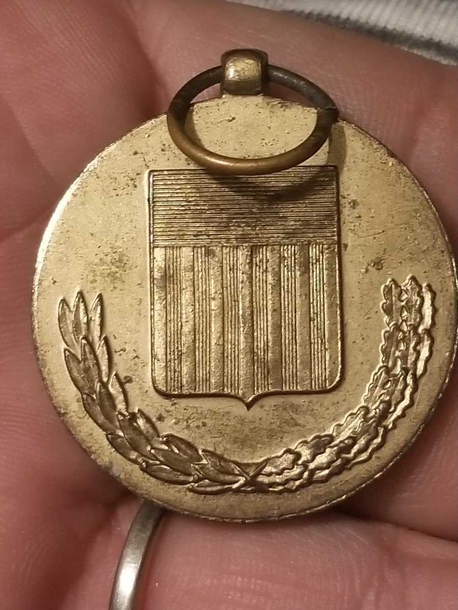 National-Defense-Medal-Or--Badge-Piece?