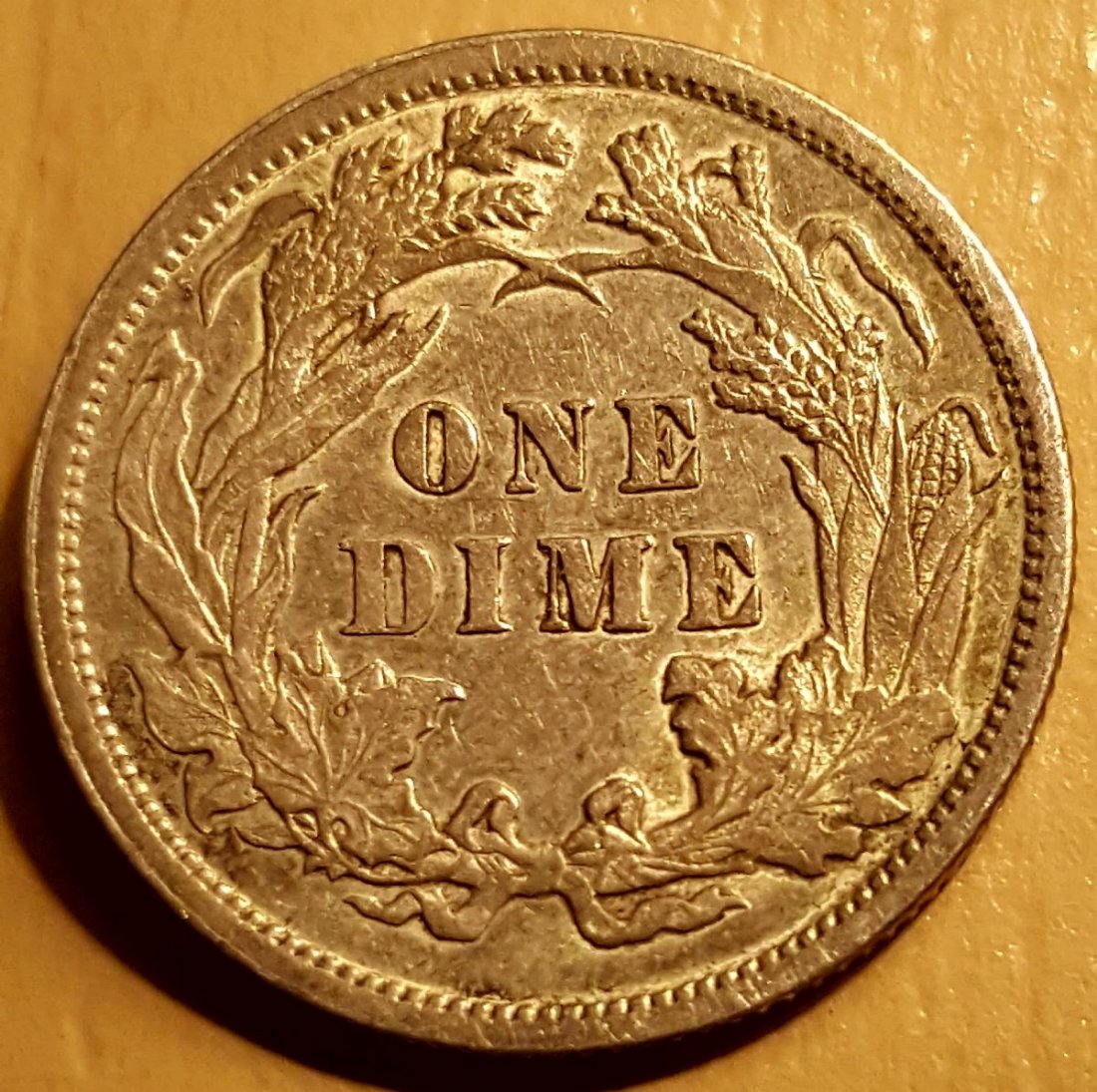 1891-Seated-Liberty-Dime-For-Grading