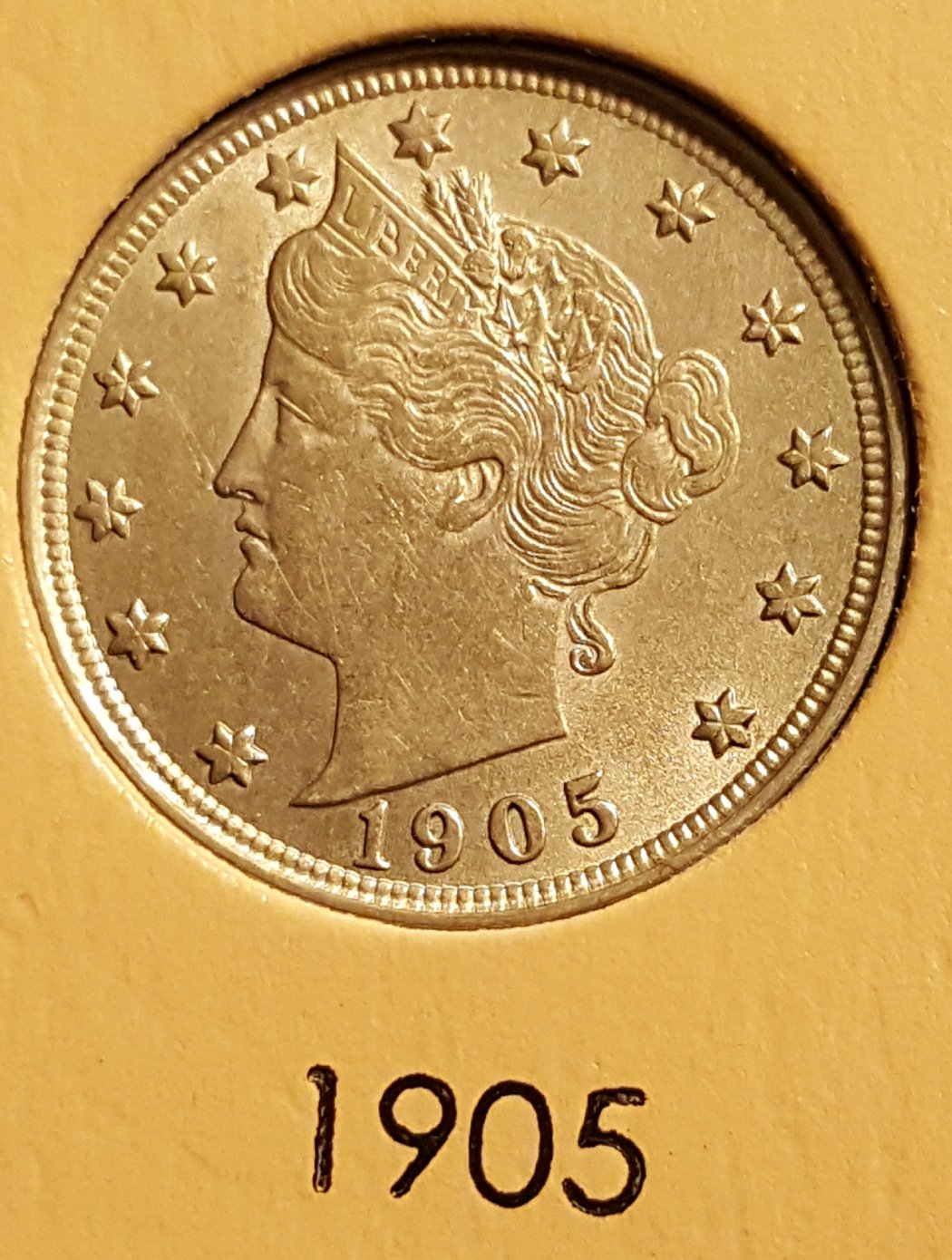 Liberty-Head-Nickel-Dansco-Album