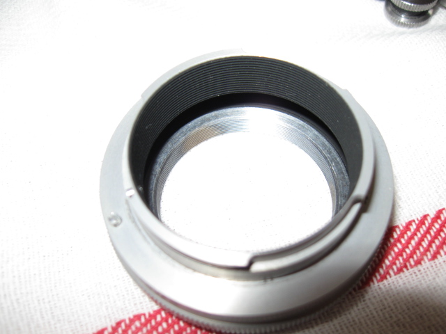 Another-Coin-Photographer-Down-The-Rabbit-Hole.