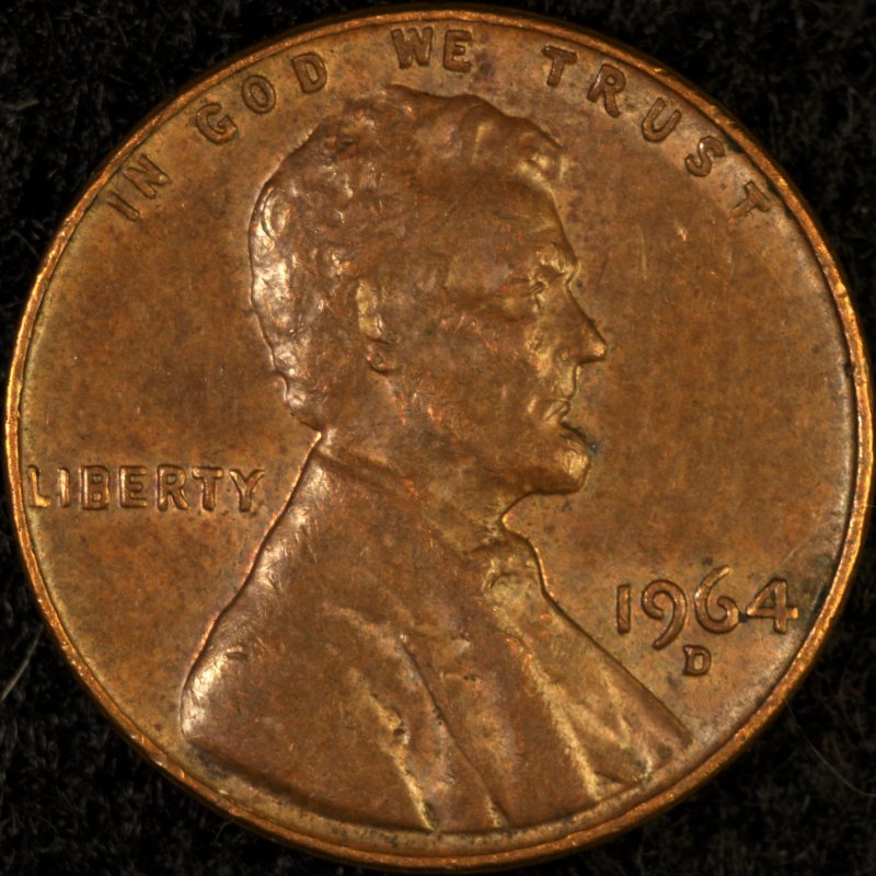 Another-Coin-Photographer-Down-The-Rabbit-Hole.