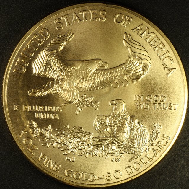 Another-Coin-Photographer-Down-The-Rabbit-Hole.